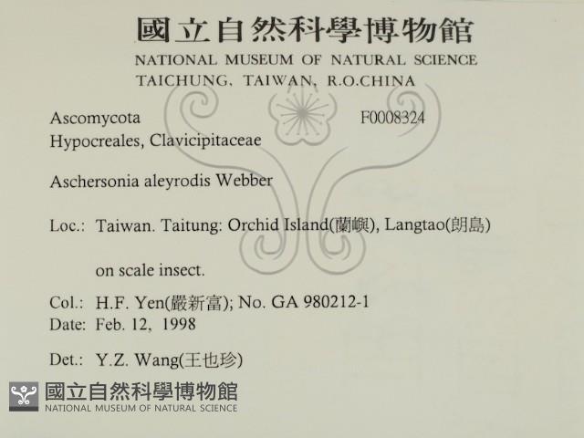 登錄號:F0008324藏品圖，第2張