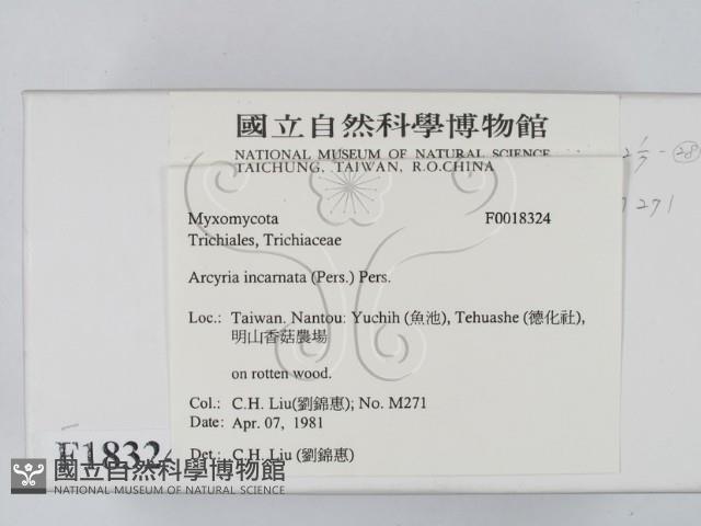 登錄號:F0018324藏品圖，第2張
