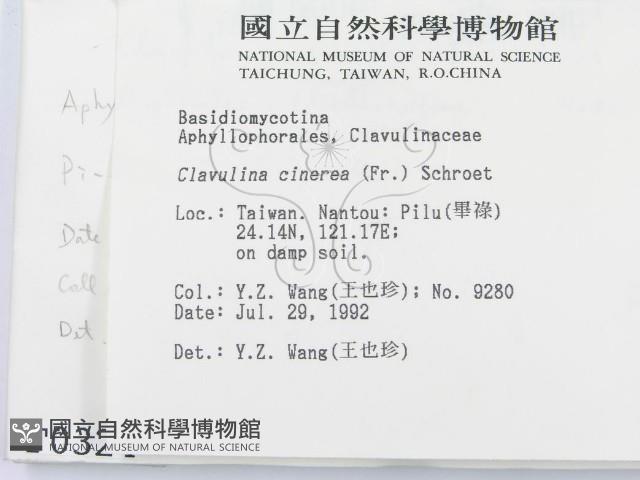 登錄號:F0000324藏品圖，第2張