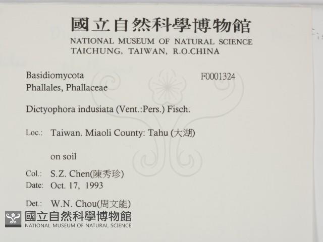 登錄號:F0001324藏品圖，第2張