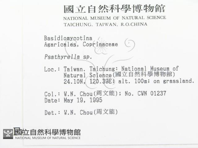 登錄號:F0004324藏品圖，第2張