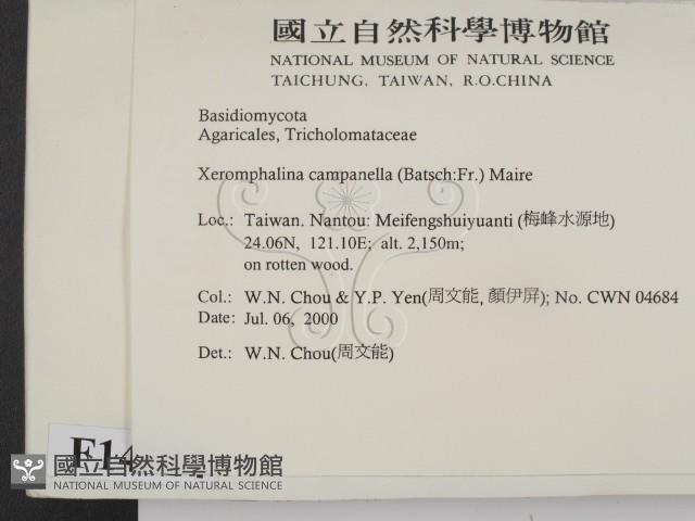 登錄號:F0014324藏品圖，第2張