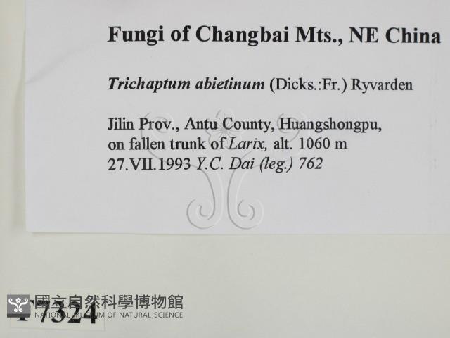 登錄號:F0007324藏品圖，第2張