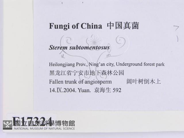 登錄號:F0017324藏品圖，第2張