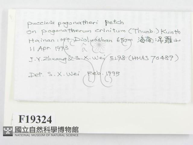 登錄號:F0019324藏品圖，第2張