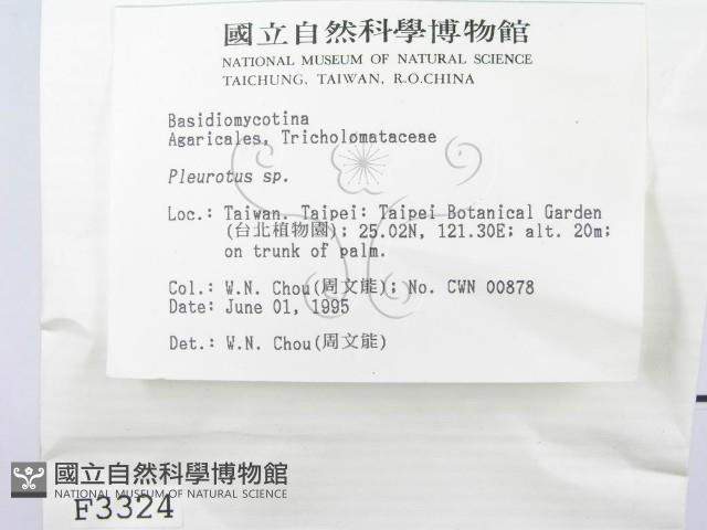 登錄號:F0003324藏品圖，第2張