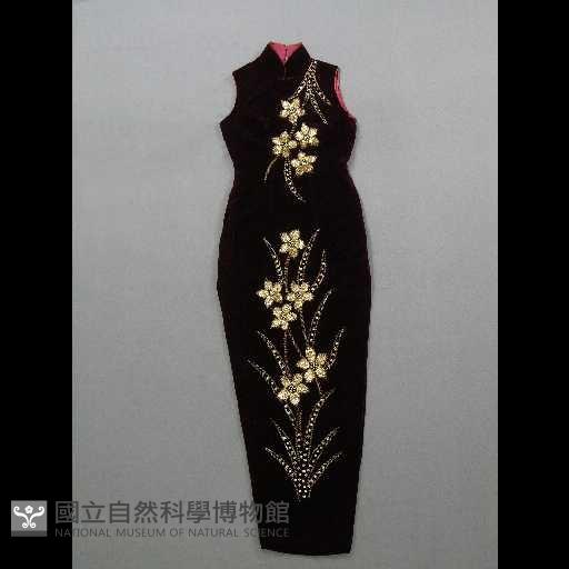 旗袍藏品圖，第1張