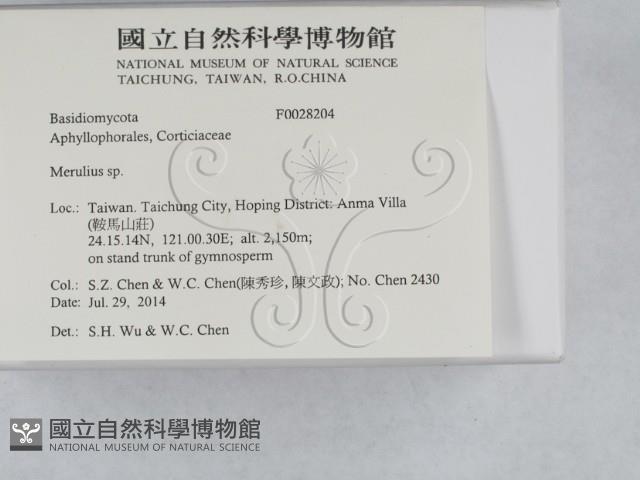 登錄號:F0028204藏品圖，第2張