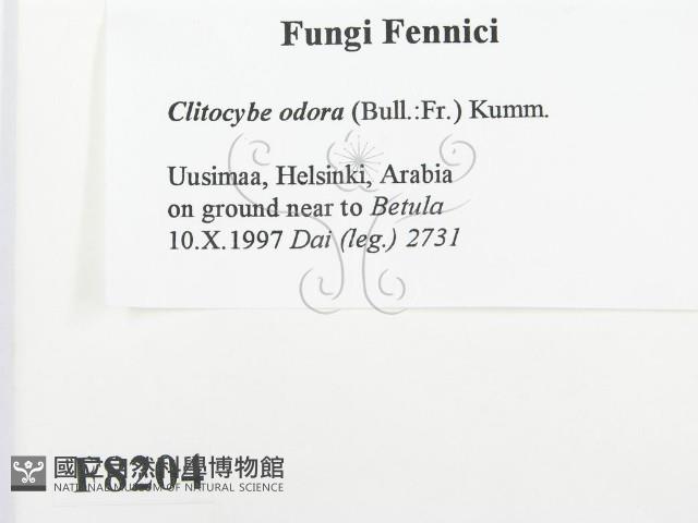 登錄號:F0008204藏品圖，第2張