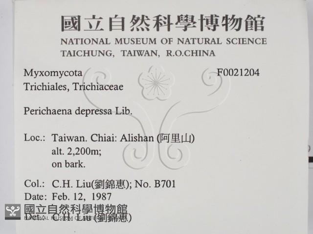 登錄號:F0021204藏品圖，第2張