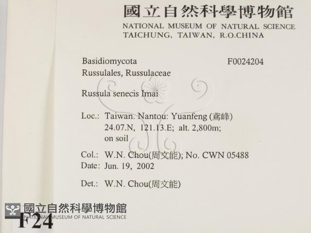 登錄號:F0024204藏品圖，第2張