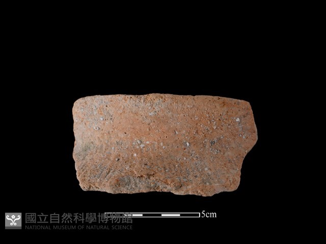 陶罐藏品圖，第2張