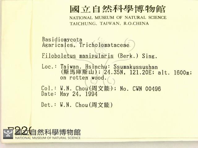 登錄號:F0002204藏品圖，第2張