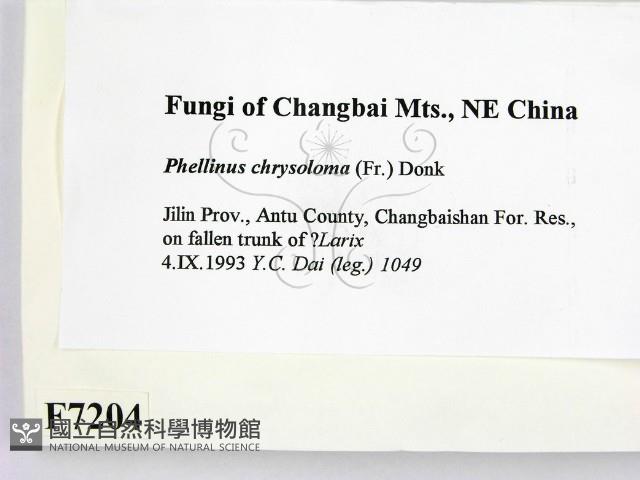 登錄號:F0007204藏品圖，第2張