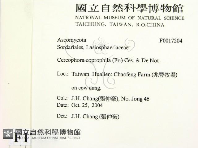 登錄號:F0017204藏品圖，第2張