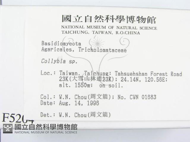 登錄號:F0005204藏品圖，第2張