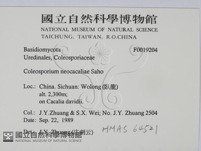 登錄號:F0019204藏品圖，第2張