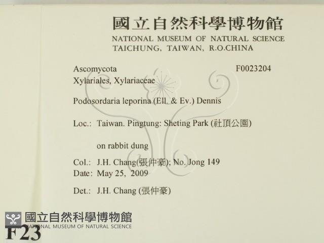 登錄號:F0023204藏品圖，第2張