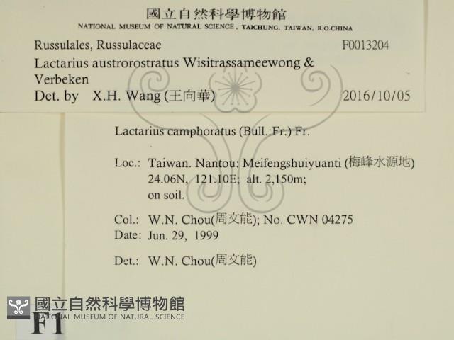 登錄號:F0013204藏品圖，第2張