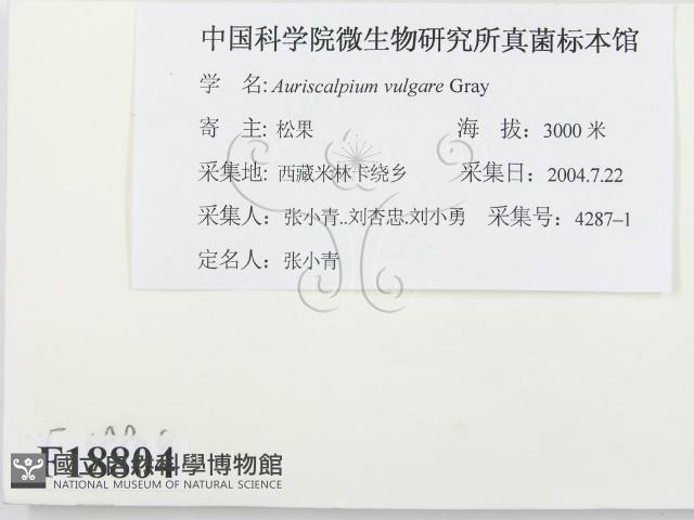 登錄號:F0018804藏品圖，第2張