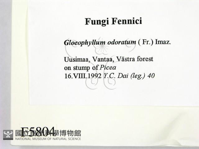 登錄號:F0005804藏品圖，第2張