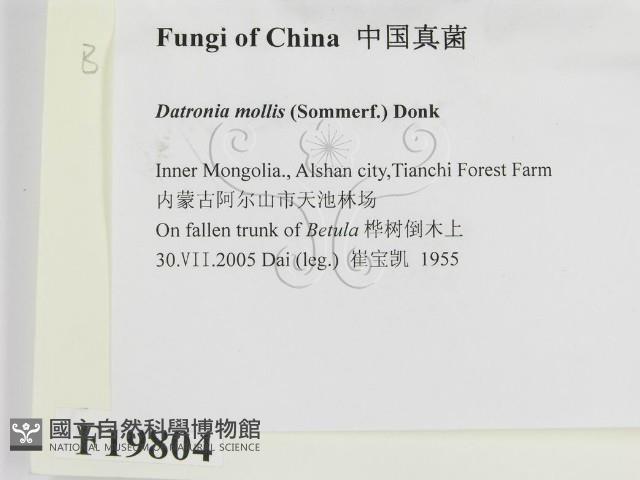 登錄號:F0019804藏品圖，第2張