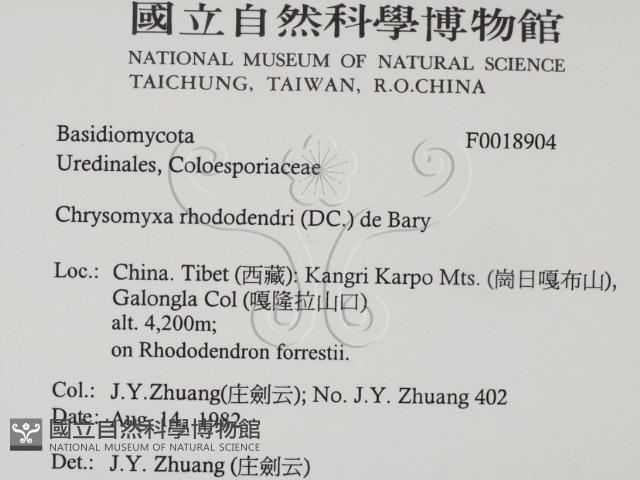 登錄號:F0018904藏品圖，第2張