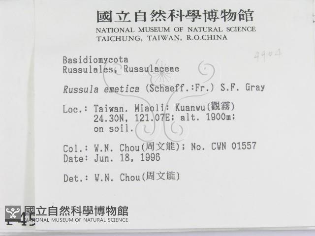 登錄號:F0004904藏品圖，第2張