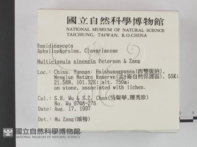 登錄號:F0007904藏品圖，第2張