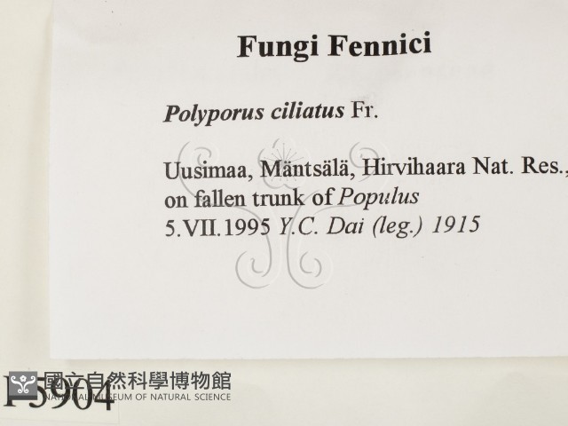 登錄號:F0005904藏品圖，第2張