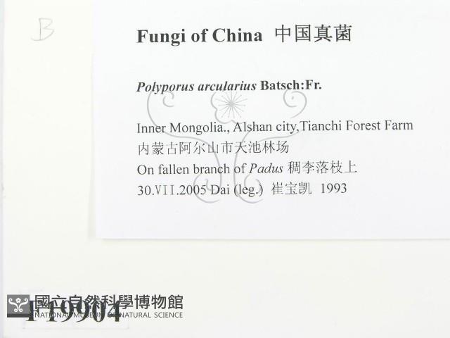 登錄號:F0019904藏品圖，第2張