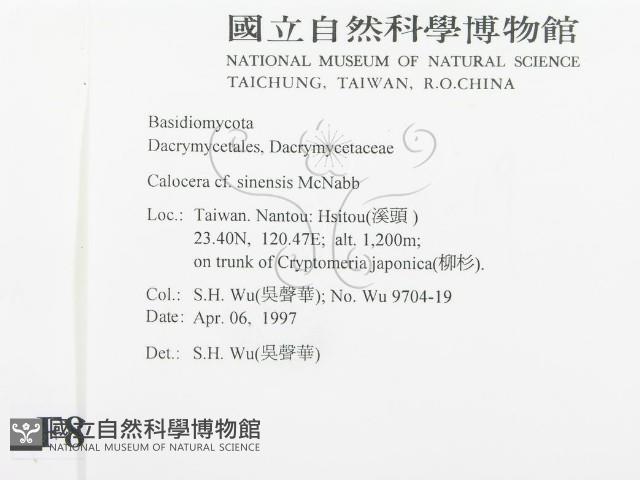 登錄號:F0008604藏品圖，第2張