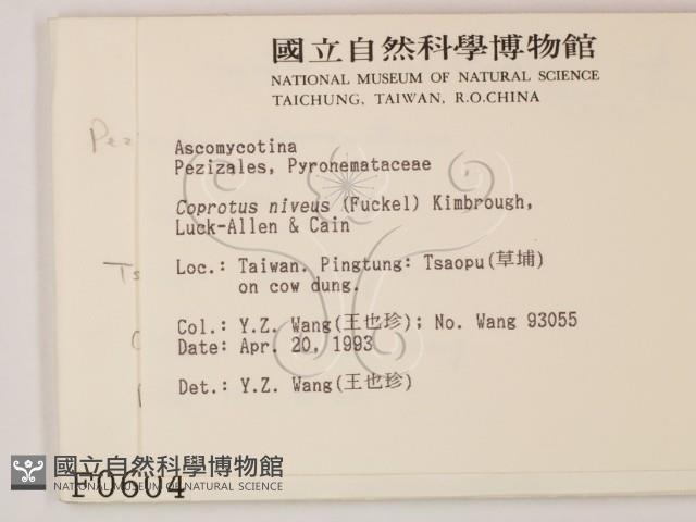 登錄號:F0000604藏品圖，第2張