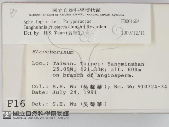 登錄號:F0001604藏品圖，第2張