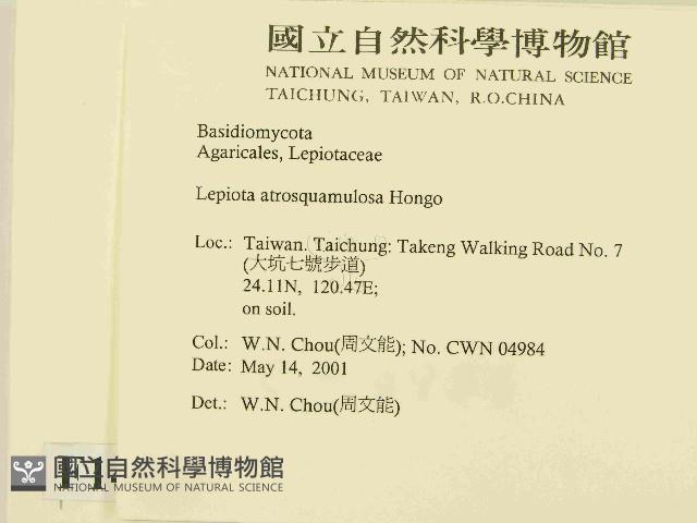 登錄號:F0014604藏品圖，第2張