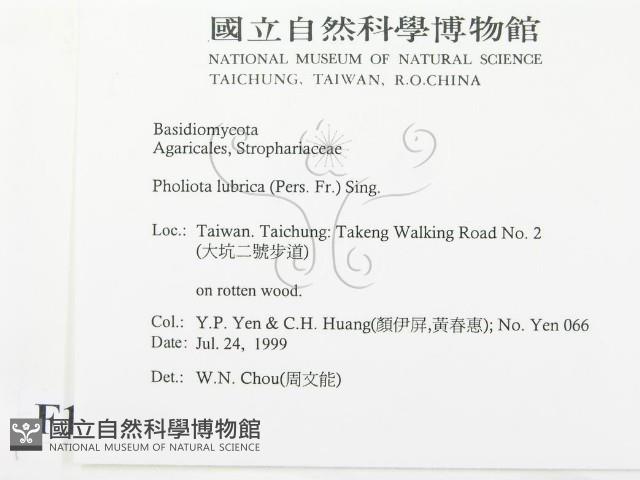 登錄號:F0015604藏品圖，第2張