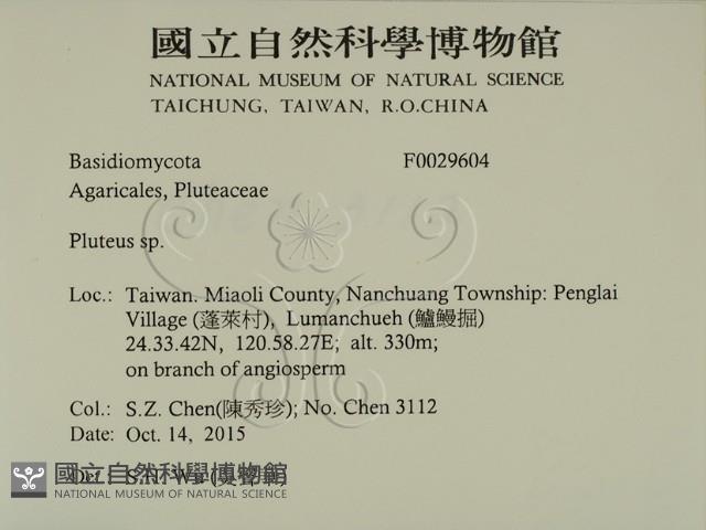 登錄號:F0029604藏品圖，第2張