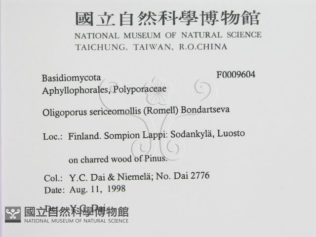 登錄號:F0009604藏品圖，第2張