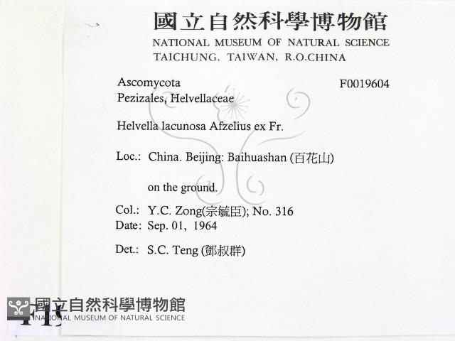 登錄號:F0019604藏品圖，第2張