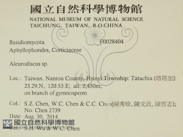 登錄號:F0028404藏品圖，第2張