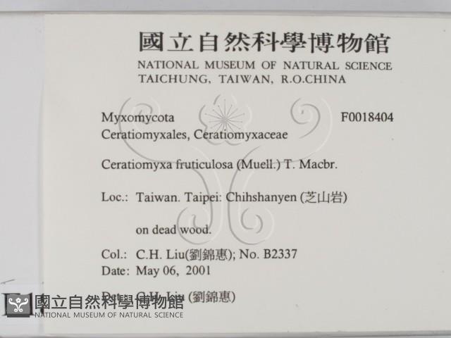 登錄號:F0018404藏品圖，第2張