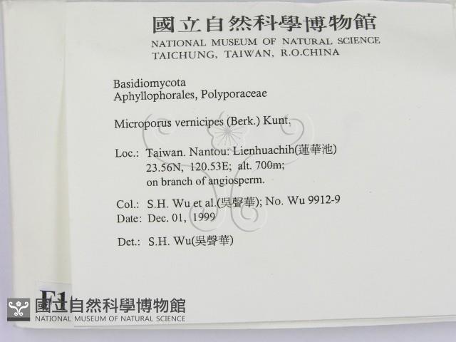 登錄號:F0010404藏品圖，第2張