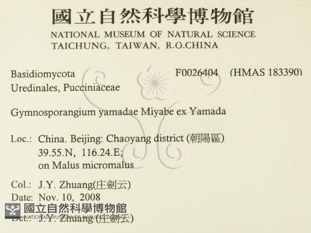 登錄號:F0026404藏品圖，第2張