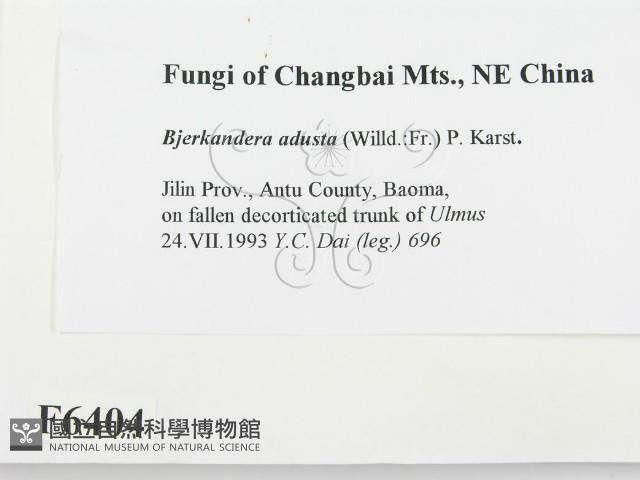 煙管菌藏品圖，第2張