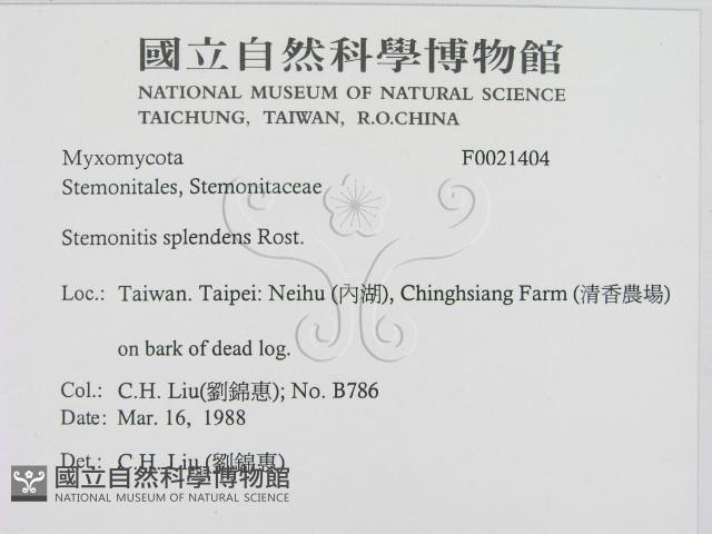 登錄號:F0021404藏品圖，第2張