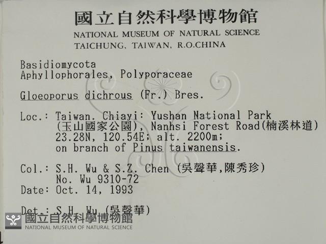 登錄號:F0001404藏品圖，第2張