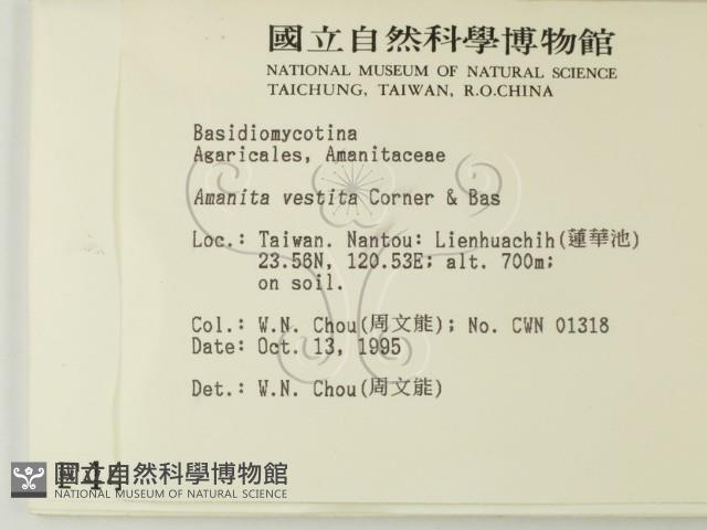 登錄號:F0004404藏品圖，第2張