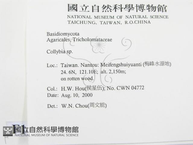 登錄號:F0014404藏品圖，第2張