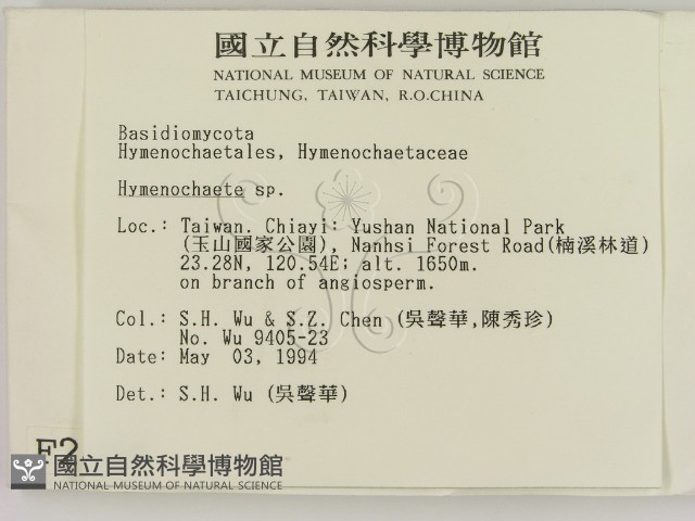 刺革菌屬藏品圖，第2張