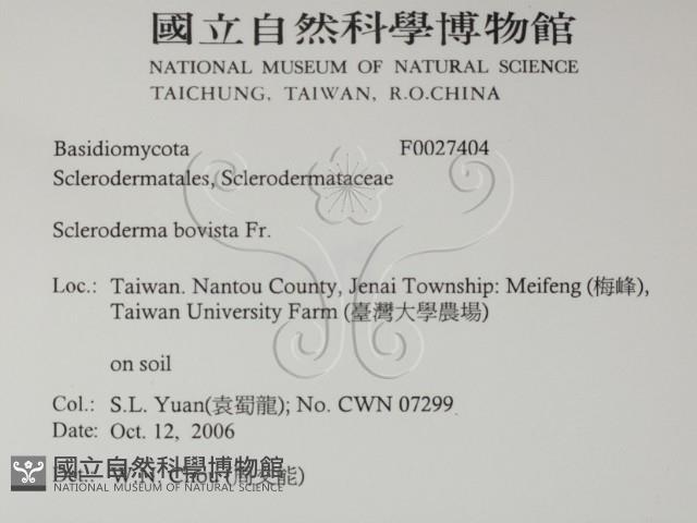 登錄號:F0027404藏品圖，第2張